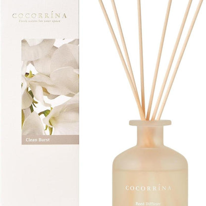 Reed Diffuser 6.7Oz (200Ml) Clean Cotton Scented Reed Diffuser Set Aroma Therapy