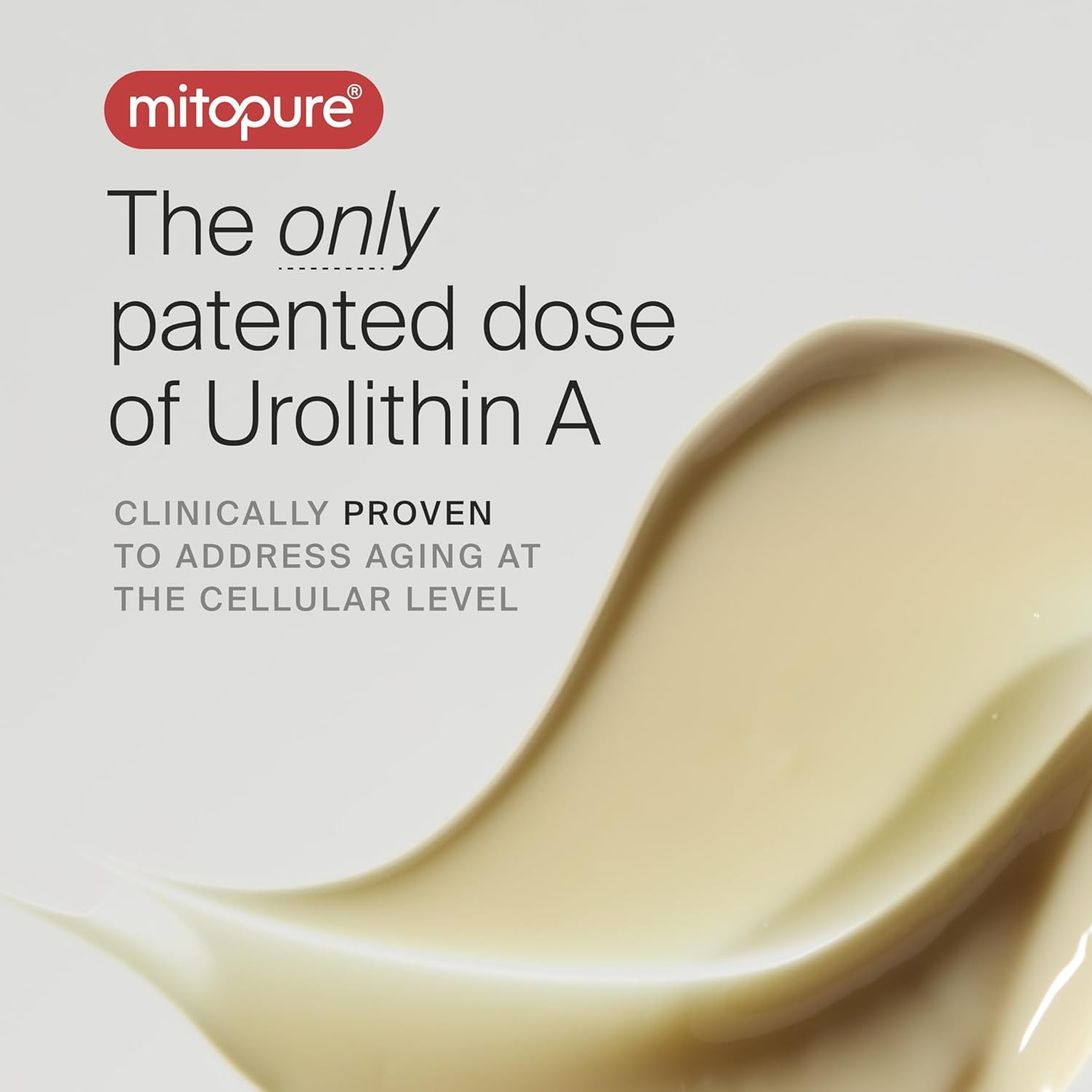 The Night Cream (7-Day Trial) Powered by Mitopure (Urolithin A), Healthy Aging Face Cream, Clinically Proven to Reduce the Apparance of Fine Lines and Wrinkles, All Skin Types and Genders