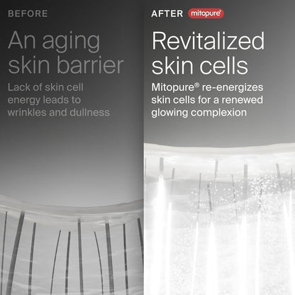 The Night Cream (7-Day Trial) Powered by Mitopure (Urolithin A), Healthy Aging Face Cream, Clinically Proven to Reduce the Apparance of Fine Lines and Wrinkles, All Skin Types and Genders